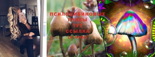 прущий лед Алексеевка