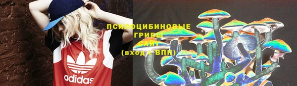прущий лед Алексеевка
