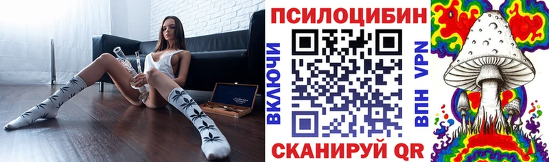 Купить  Никольск  Псилоцибиновые грибы ЛСД 